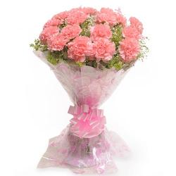 10 Pink Carnations Bunch